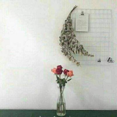 4949澳门免费资料大全手机app下载